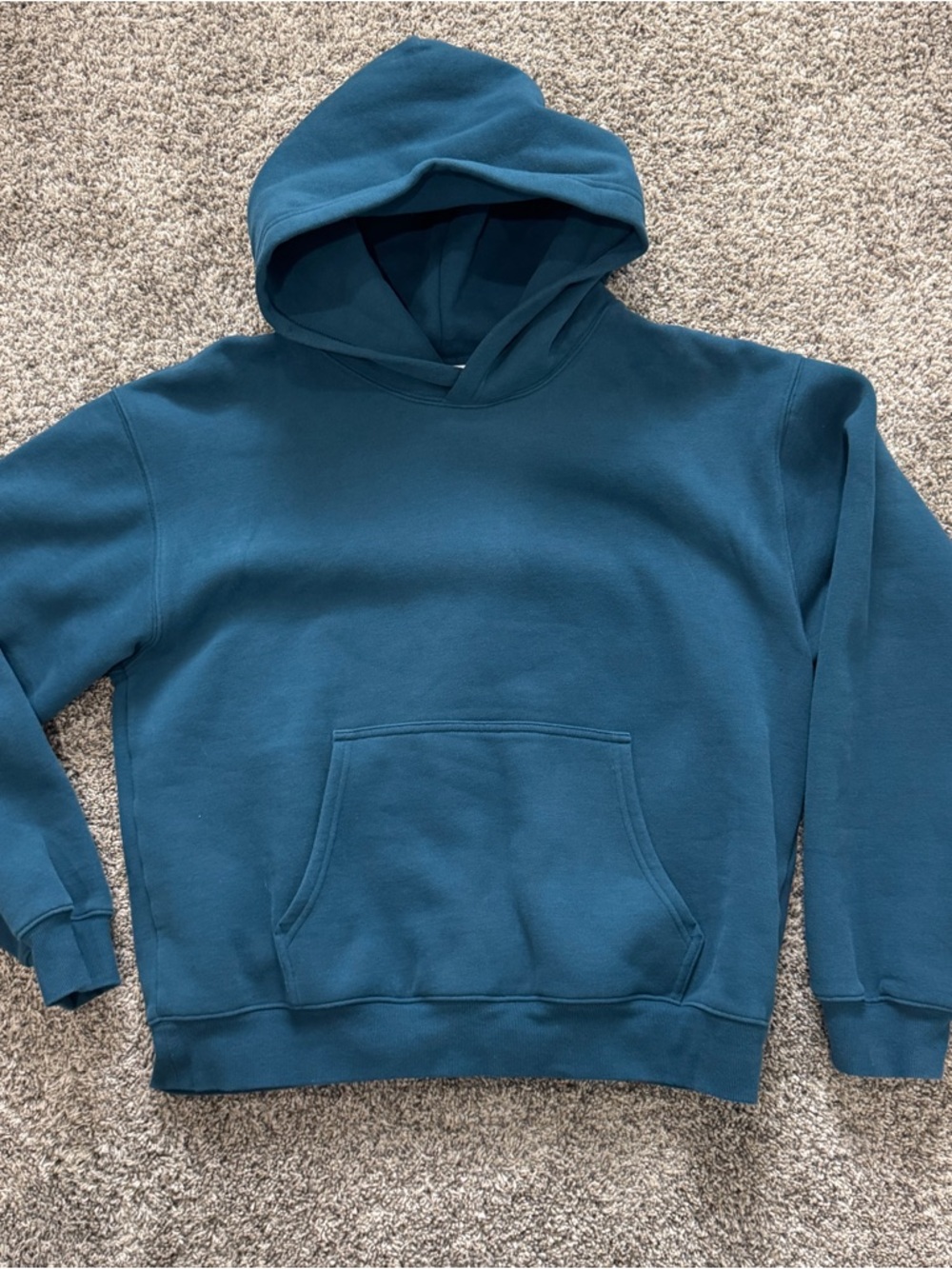 Aritzia Teal Sweatfleece Hoodie